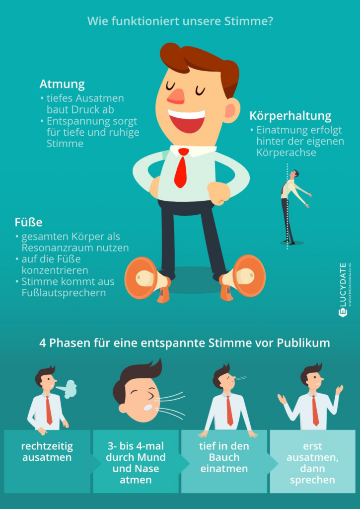 Infografik Macht der Stimme